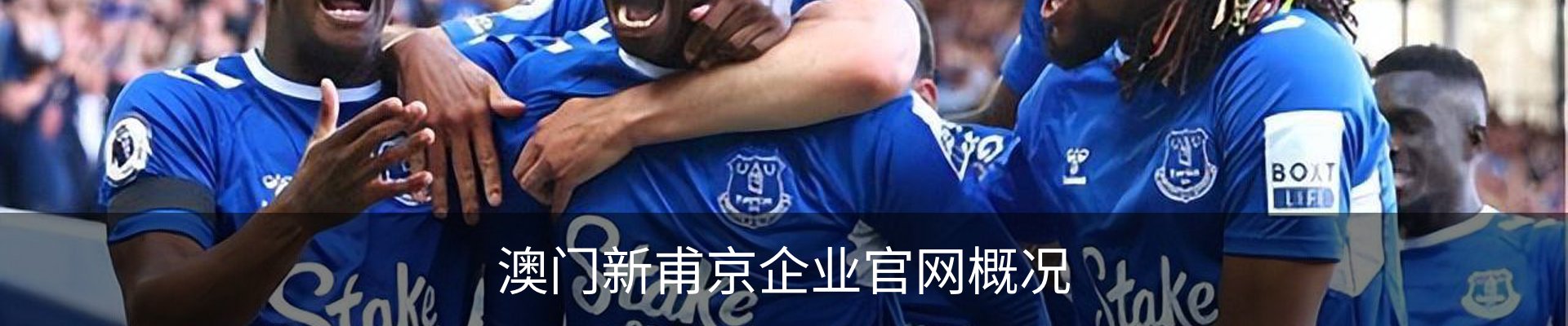 澳门新甫京企业官网概况