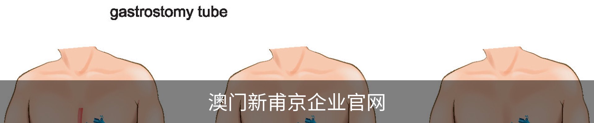 澳门新甫京企业官网