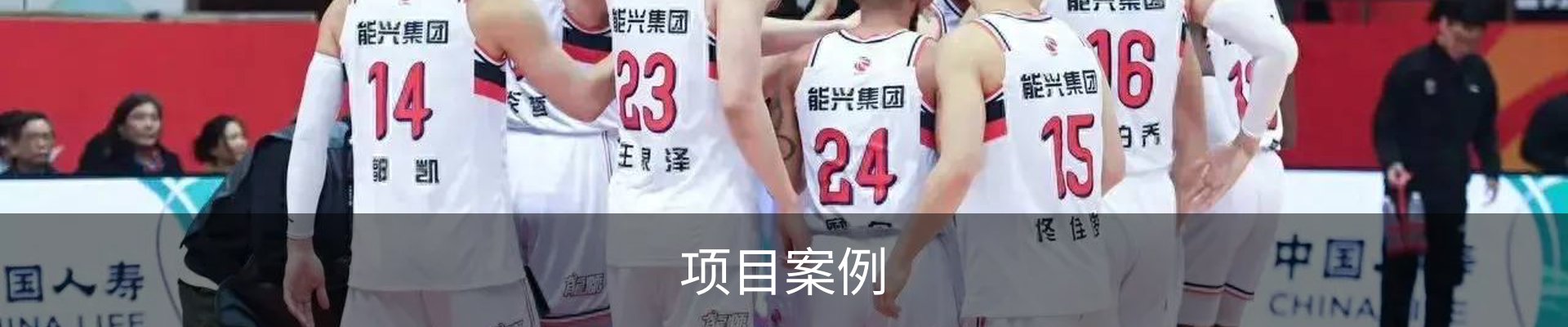 项目案例